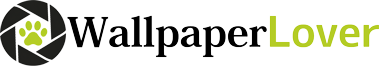 WallpaperLover